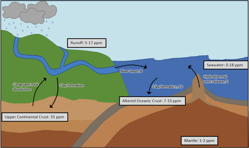 Lithium Cycle Diagram